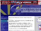 Summerside and Area Minor Hockey Association Hockey Website Software By GOALLINEca