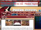COYOTES ANNUAL LUXURY SUITES  Phoenix Coyotes  Annual Luxury Suites
