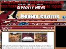 COYOTES INDIVIDUAL LUXURY SUITE RENTALS  Phoenix Coyotes  Luxury Suite Rentals