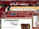 COMERICA BANK CLUB  Phoenix Coyotes  Tickets