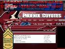 Executives  Phoenix Coyotes  Team