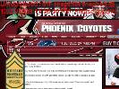 Phoenix Coyotes  Team
