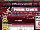20092010 Regular Season Stats  Points  Phoenix Coyotes  Statistics