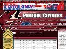 20092010 Phoenix Coyotes vs All Teams  Phoenix Coyotes  Standings