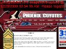 COYOTES HOCKEY 101  THE BASICS  Phoenix Coyotes  Fan Zone