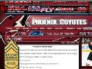 COYOTES HOCKEY 101  ADVANCED HOCKEY LINGO  Phoenix Coyotes  Fan Zone