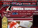 COYOTES CHARITIES HOLIDAY CARDS  Phoenix Coyotes  Community