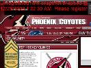 Kids First Hockey Clinics  Phoenix Coyotes  Community