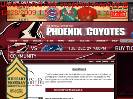 DONATIONS  Phoenix Coyotes  Community
