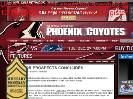 CAMP FOR PROSPECTS CONCLUDES  Phoenix Coyotes  Features