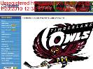 Timberlane Owls Hockey Team