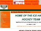 Ice Hawks Hockey