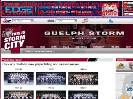Guelph Storm  Year by Year History